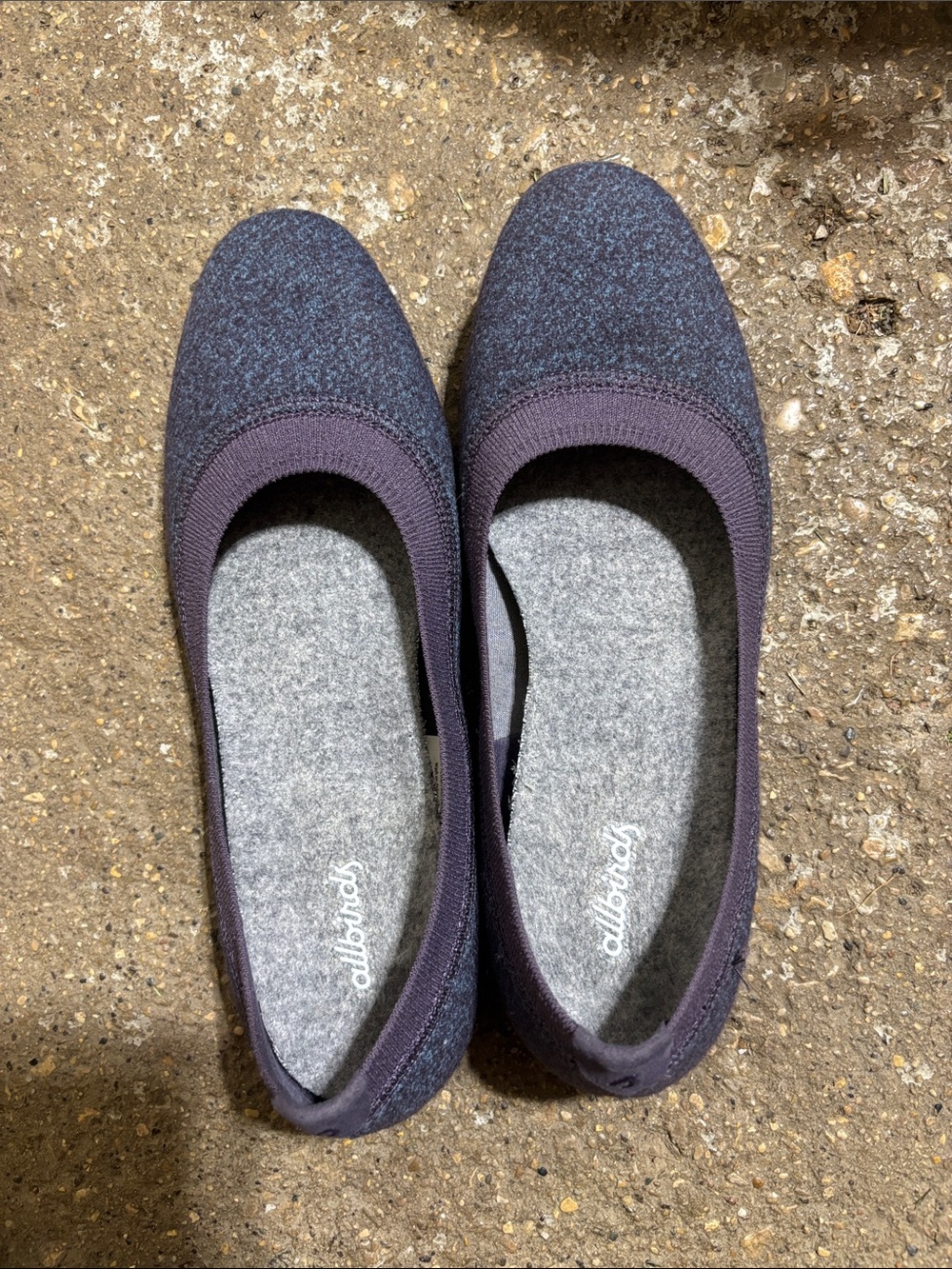 Allbirds flats